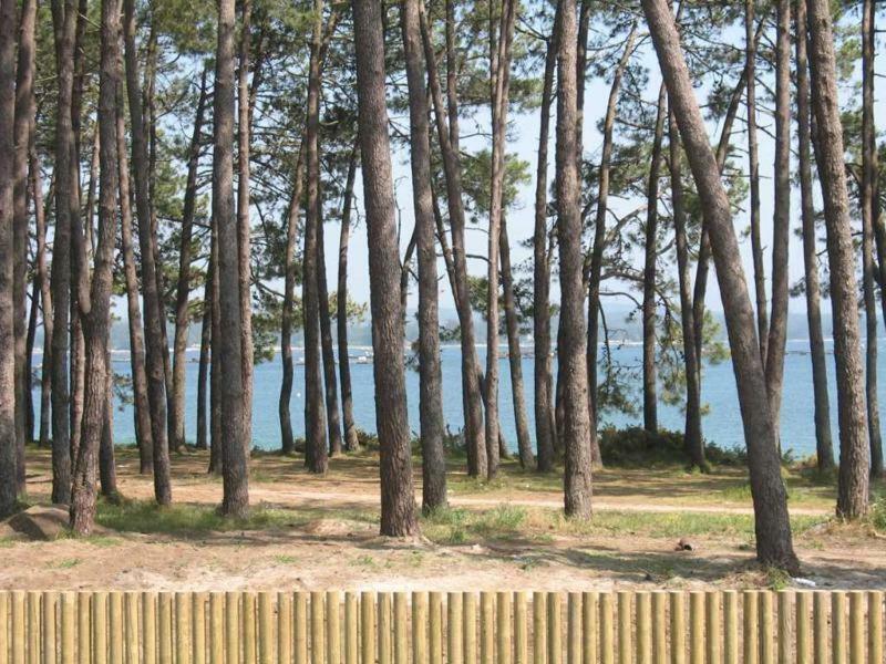 Excelente Apartamento En La Isla De Arosa Lägenhet Exteriör bild